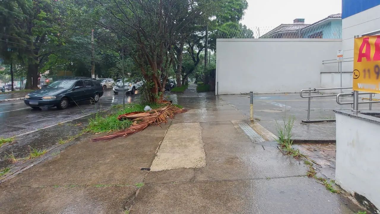 Loja na Rua dos Macunis, 56  450 m² - Foto 3