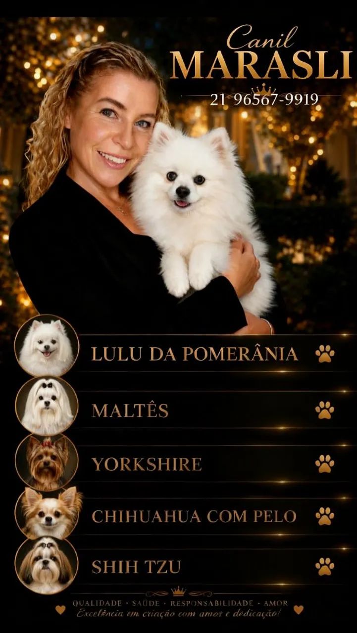 Yorkshire FILHOTE  FÊMEA  E  MACHO - Foto 3