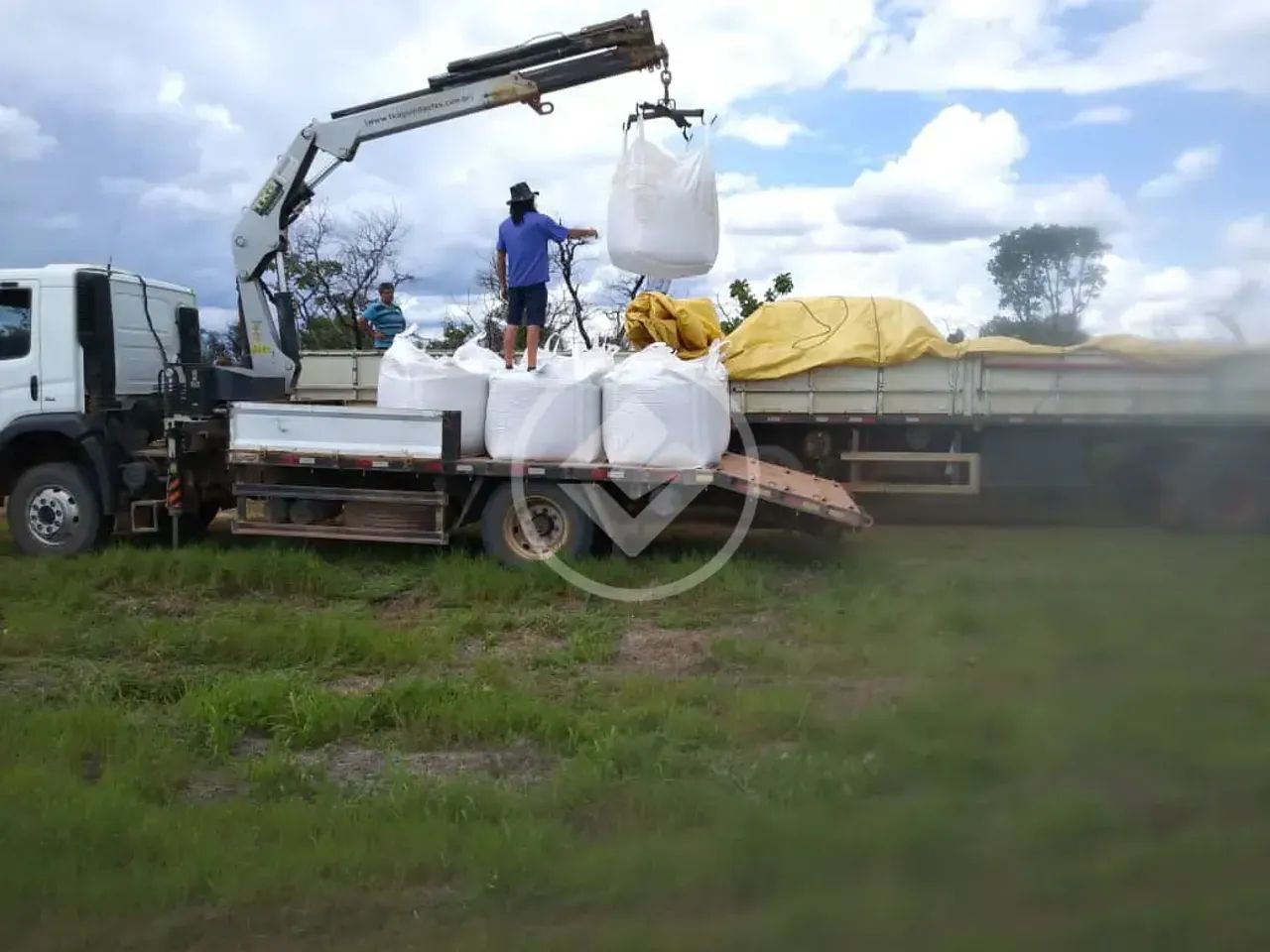Fazenda em Goiás com plantação de Soja e Café codigo: 268245 - Foto 5