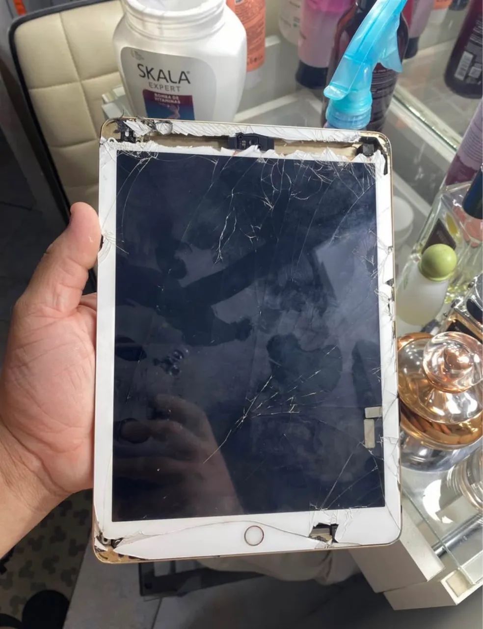 iPad 