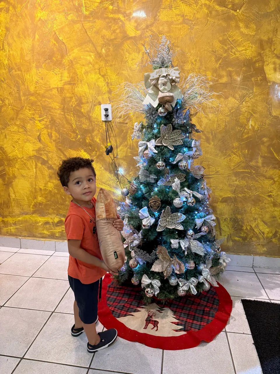 O melhor pinto do nordeste  - Foto 4