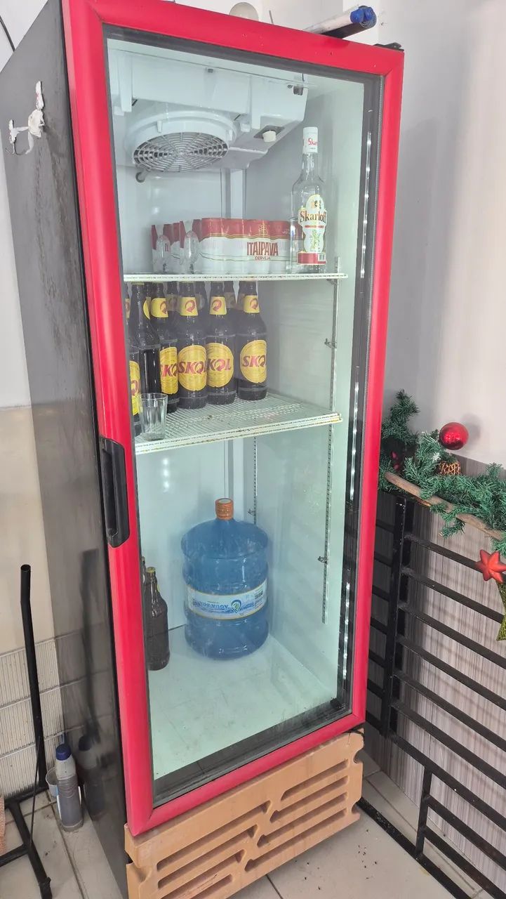 Freezer e Expositor Vertical 