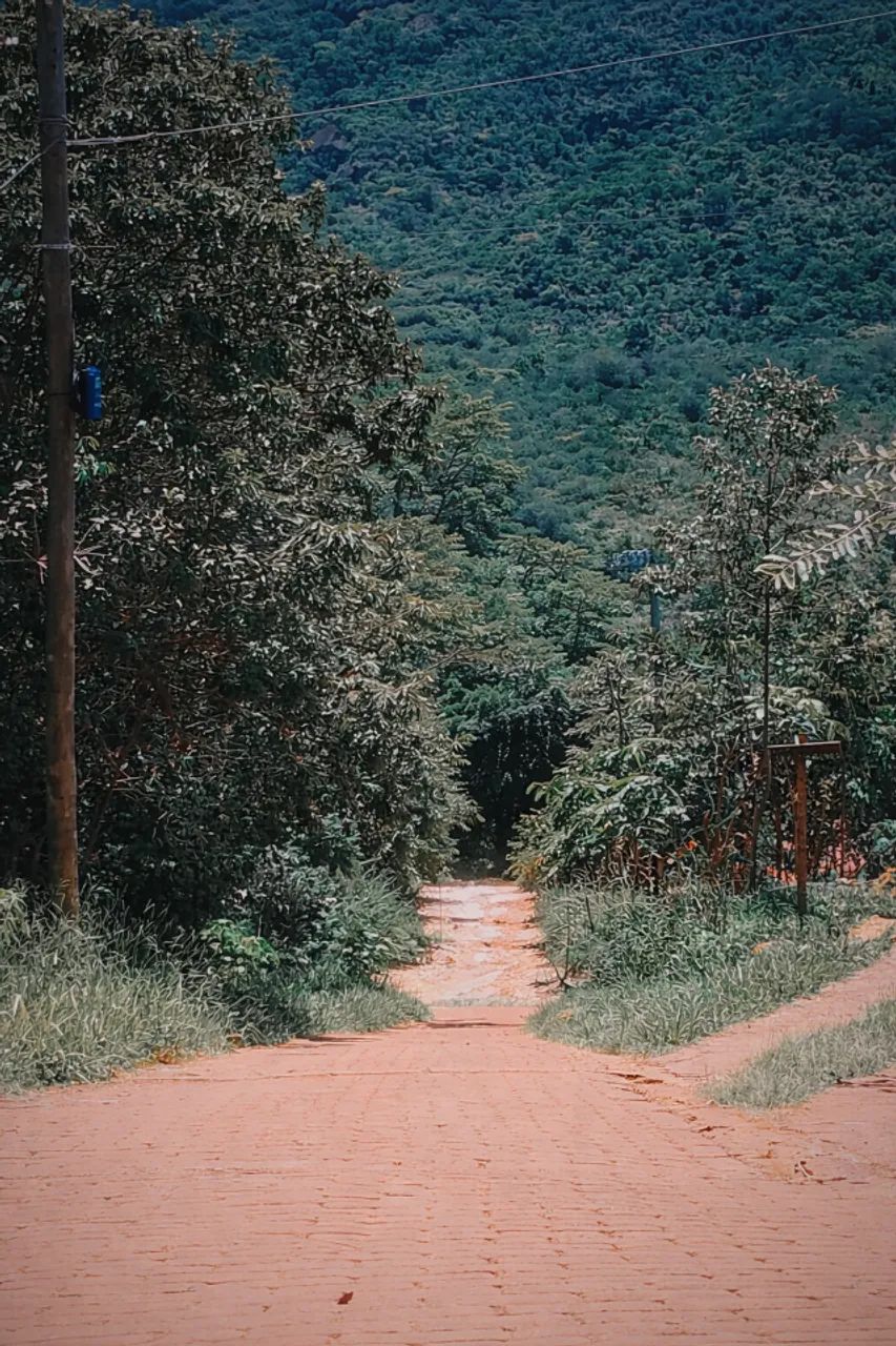 Vendo lote na Serra dos Alves tel: * - Foto 5