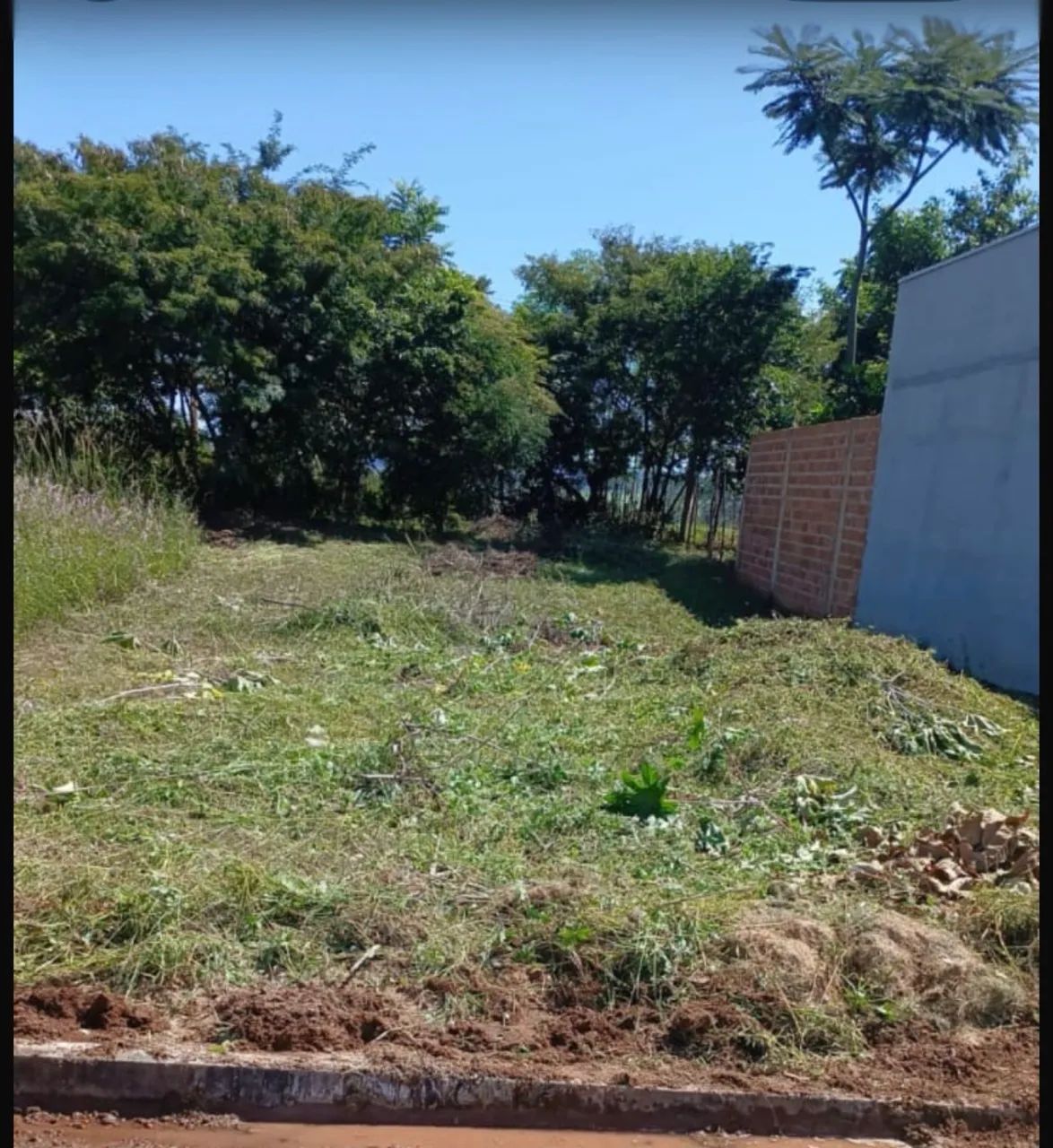 Venda de terreno em taquaritinga  - Foto 2
