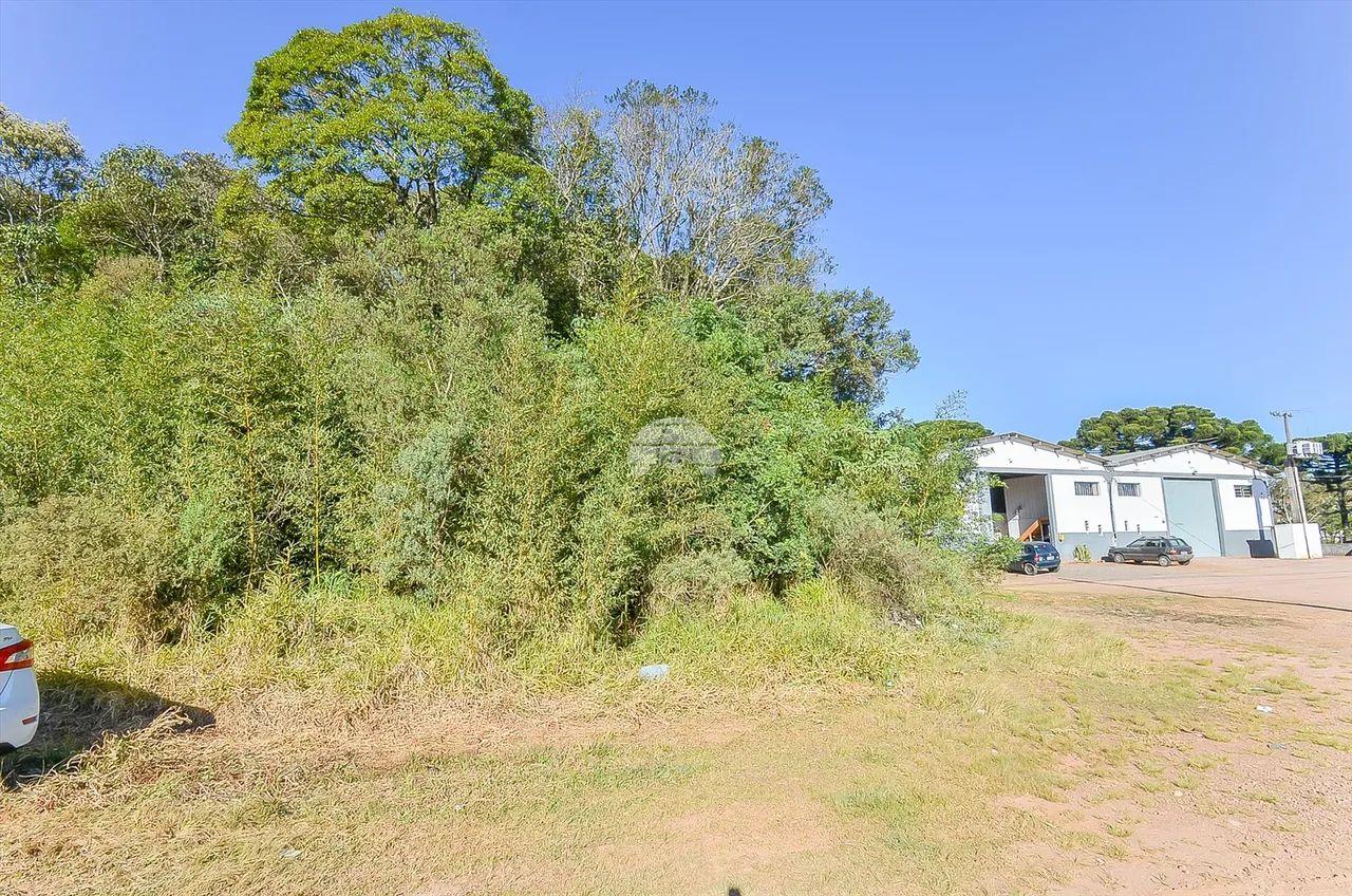 Vendas Terreno Mandirituba PR - Foto 5