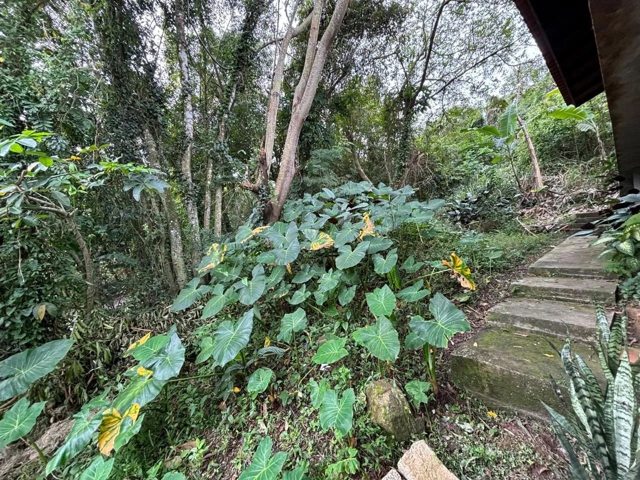 Terreno à venda no Canto da Lagoa