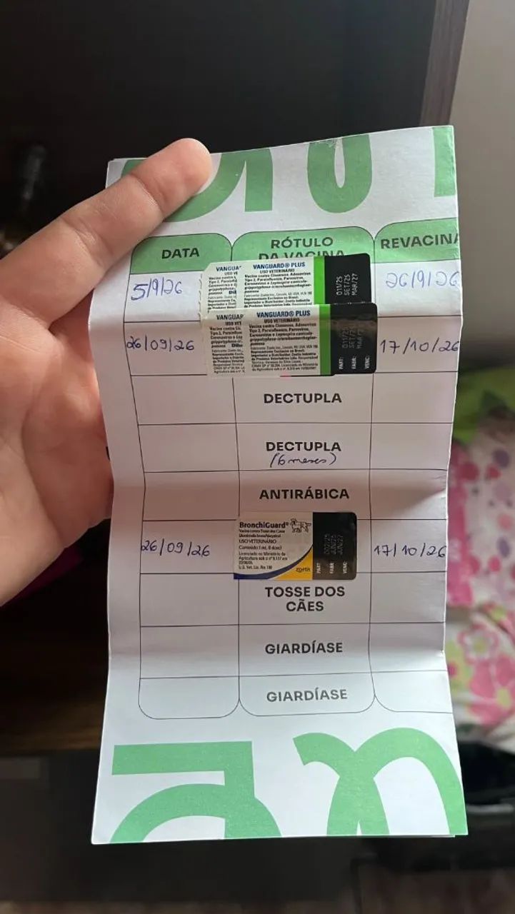 Filhote com 3 meses  - Foto 3