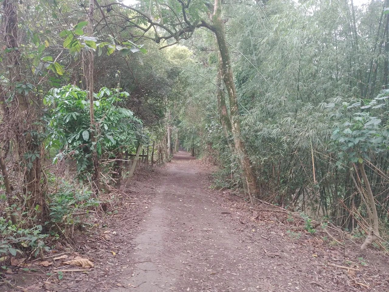 Vendo sítio Itaguaí rj - Foto 2
