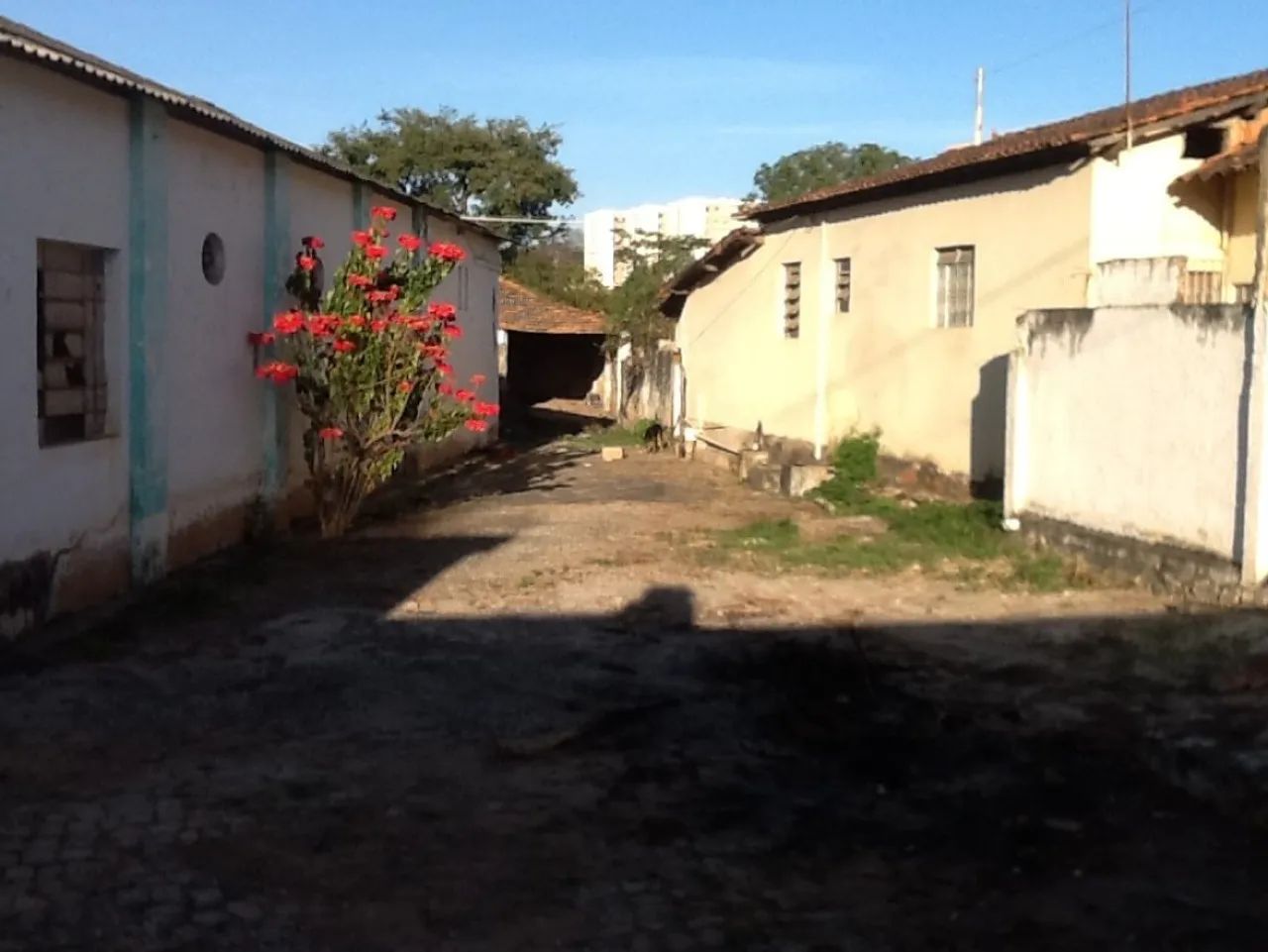 Galpão / Depósito / Armazém com 1 quarto para alugar em Sete Lagoas - Foto 4