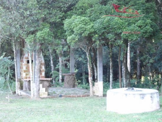 Chácara rural à venda, campo largo da roseira, são josé dos pinhais - ch0026. - Foto 10