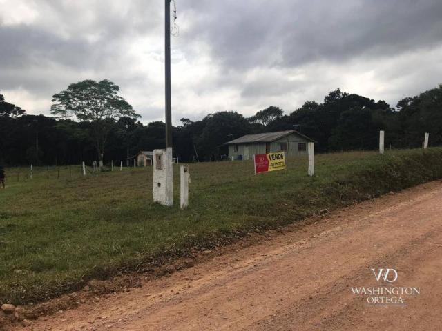 Área à venda, 715259 m² por r$ 5.500.000,00 - são marcos - são josé dos pinhais/pr - Foto 5