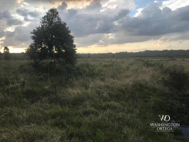 Área à venda, 715259 m² por r$ 5.500.000,00 - são marcos - são josé dos pinhais/pr - Foto 9