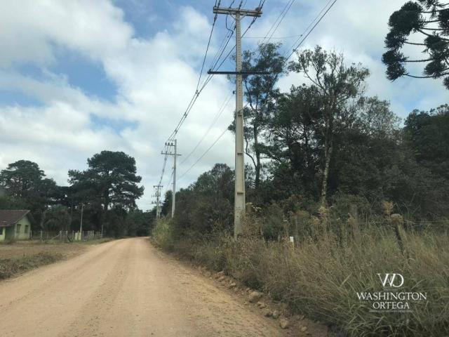 Área à venda, 715259 m² por r$ 5.500.000,00 - são marcos - são josé dos pinhais/pr - Foto 4