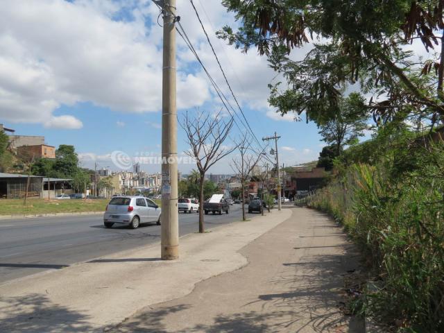 Terreno à venda em Jardim alvorada, Belo horizonte cod:647864 - Foto 6