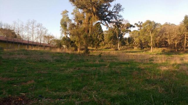 Sítio rural à venda, zona rural, quitandinha. - Foto 16