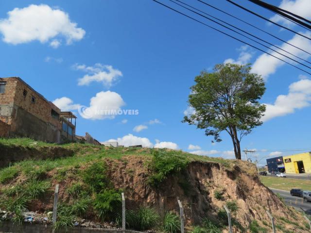 Terreno à venda em Jardim alvorada, Belo horizonte cod:647864 - Foto 4