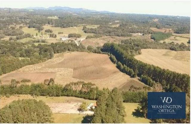 Área à venda, 20135 m² por r$ 775.197 - miringuava - são josé dos pinhais/pr - Foto 3