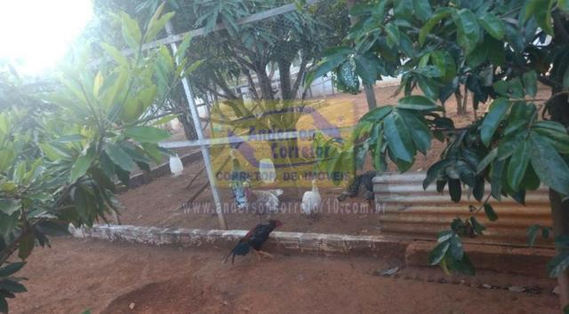 Vendo Ótima Chácara Em Pombos - pombos/PE / Propriedade ID : S0678 - Foto 20