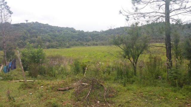 Área à venda, 103000 m² por r$ 700.000,00 - borda do campo - são josé dos pinhais/pr - Foto 4