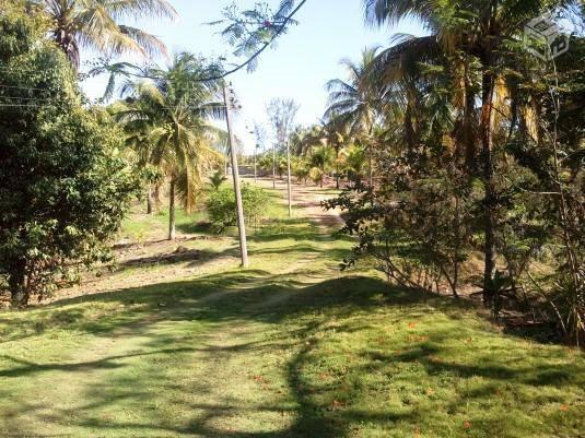 COD-130: Sítio no Jardim - Saquarema - Foto 6