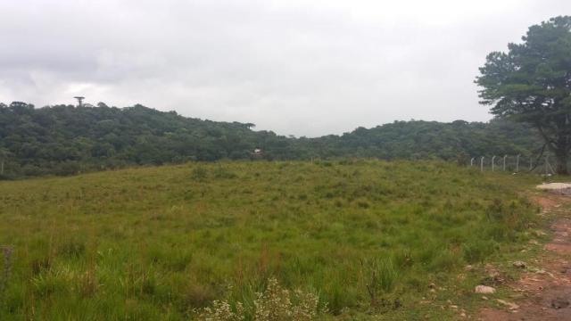 Área à venda, 103000 m² por r$ 700.000,00 - borda do campo - são josé dos pinhais/pr - Foto 14