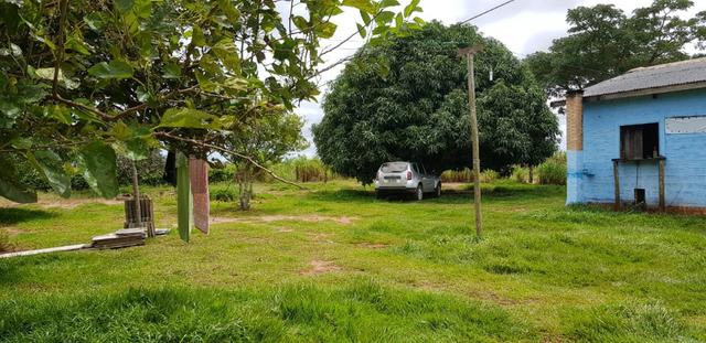 3200 Hectares,Pecuária,Lavoura,Frutífera,Faço Permuta,Conquista Doeste-MT, - Foto 9
