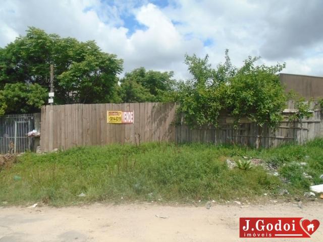 TERRENO / UBERABA - Foto 8