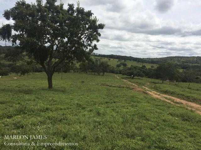 Fazenda no Município de Ipameri-Go - Foto 3