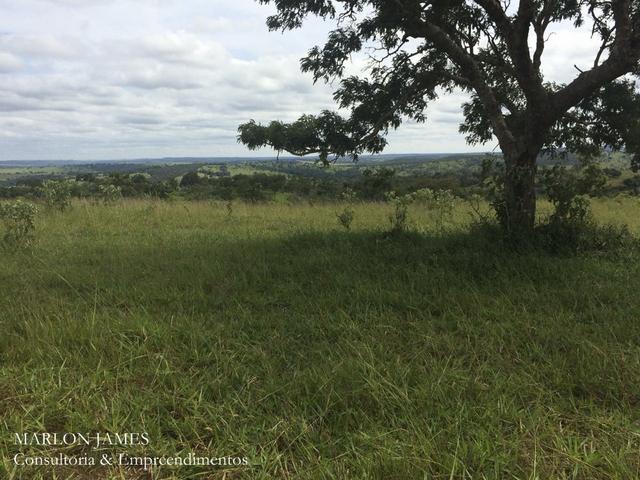 Fazenda no Município de Ipameri-Go - Foto 11