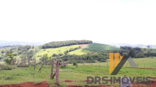 Rural sitio - Bairro Centro em Pitanga - Foto 13
