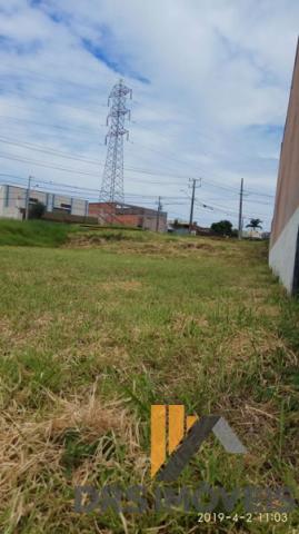 Terreno em rua - Bairro Conjunto Habitacional Alexandre Urbanas em Londrina - Foto 16