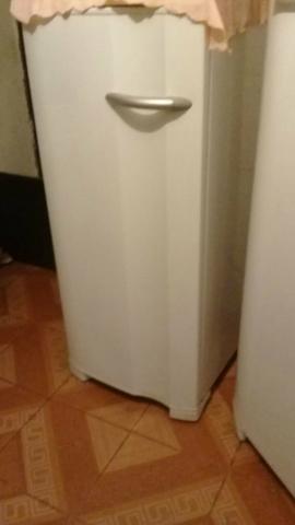 Freezer vertical
