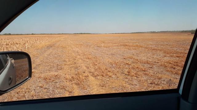 Fazenda de 462 Ha , 300 Ha Lavoura . Redenção - PA .permuta 70% em Fazenda no Paraná - Foto 10