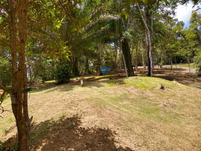 Linda chácara em Agro Brasil- Cachoeiras de Macacu RJ 116 oportunidade!!!! - Foto 16