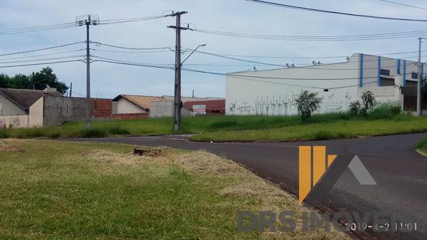 Terreno em rua - Bairro Conjunto Habitacional Alexandre Urbanas em Londrina - Foto 19