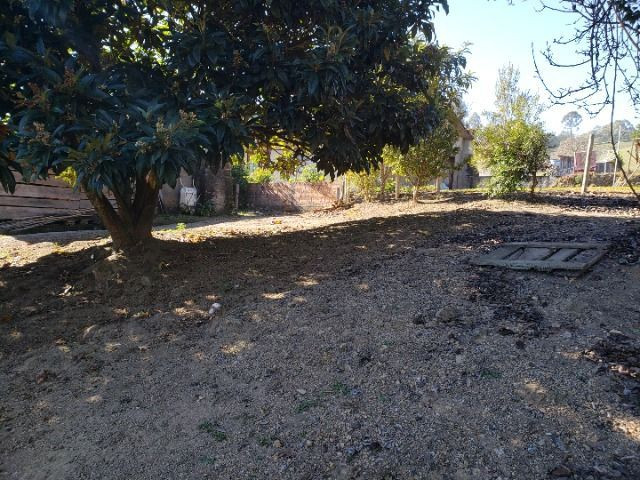 Terreno Urbano no centro de Rio Rufino - Foto 8