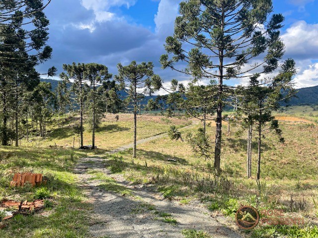 Sítio na Serra Catarinense - Foto 2