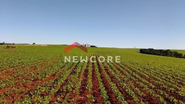Fazenda em  Rua da Lapa - Área Rural de Cascavel - Cascavel/PR - Foto 6