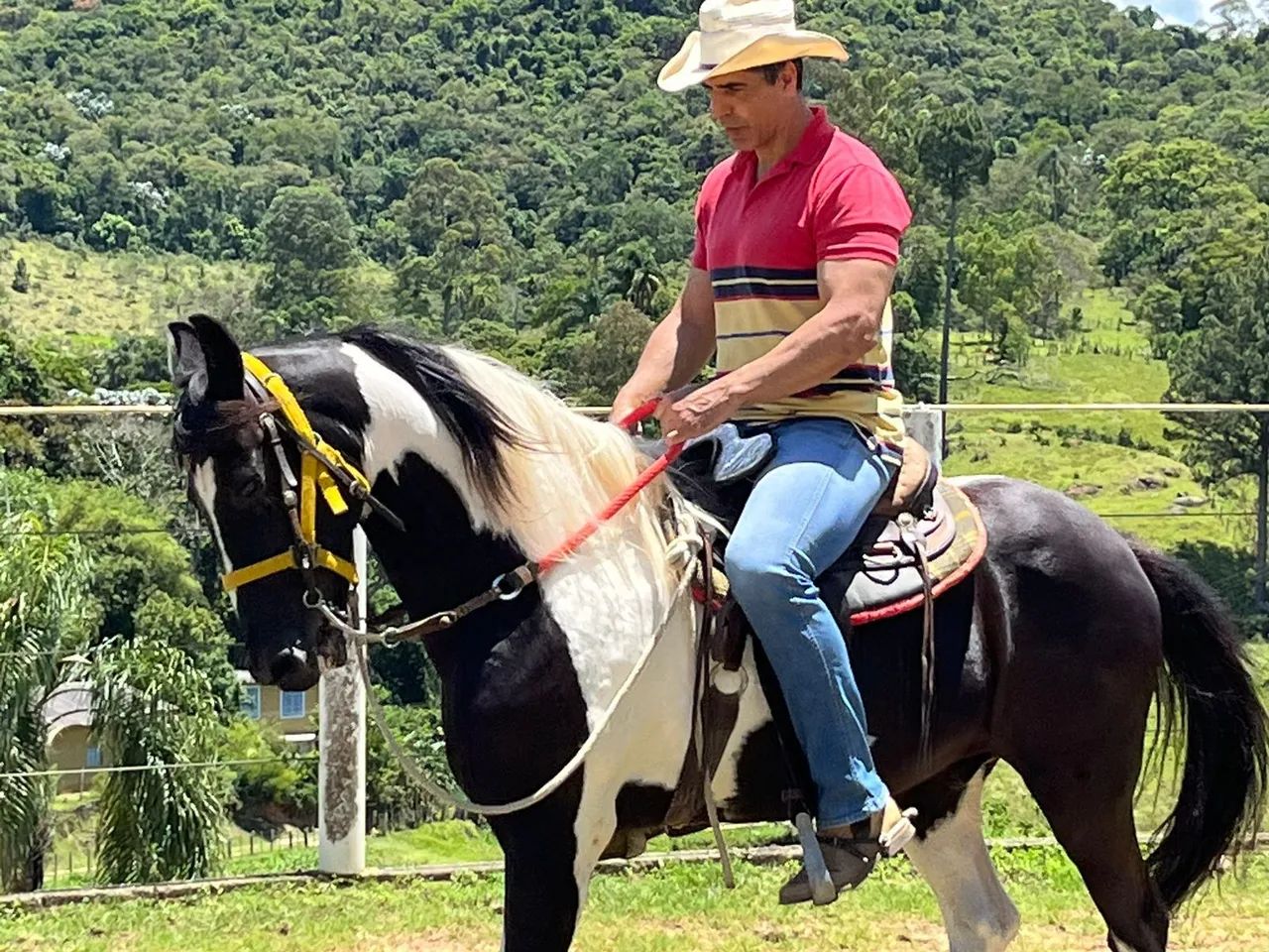Cavalo mangalarga pampa de preto 