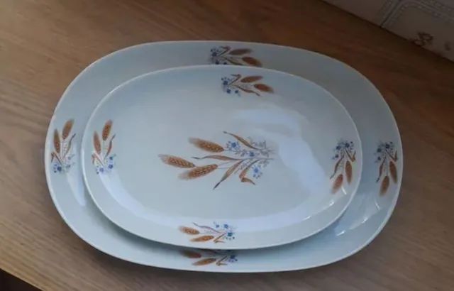  Travessas em Porcelana Vintage 