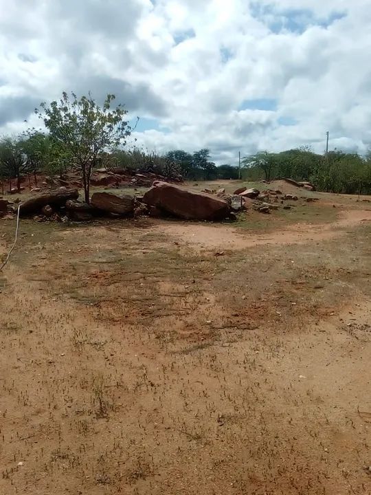 Vendo fazenda 70hectares Sertania - Foto 2