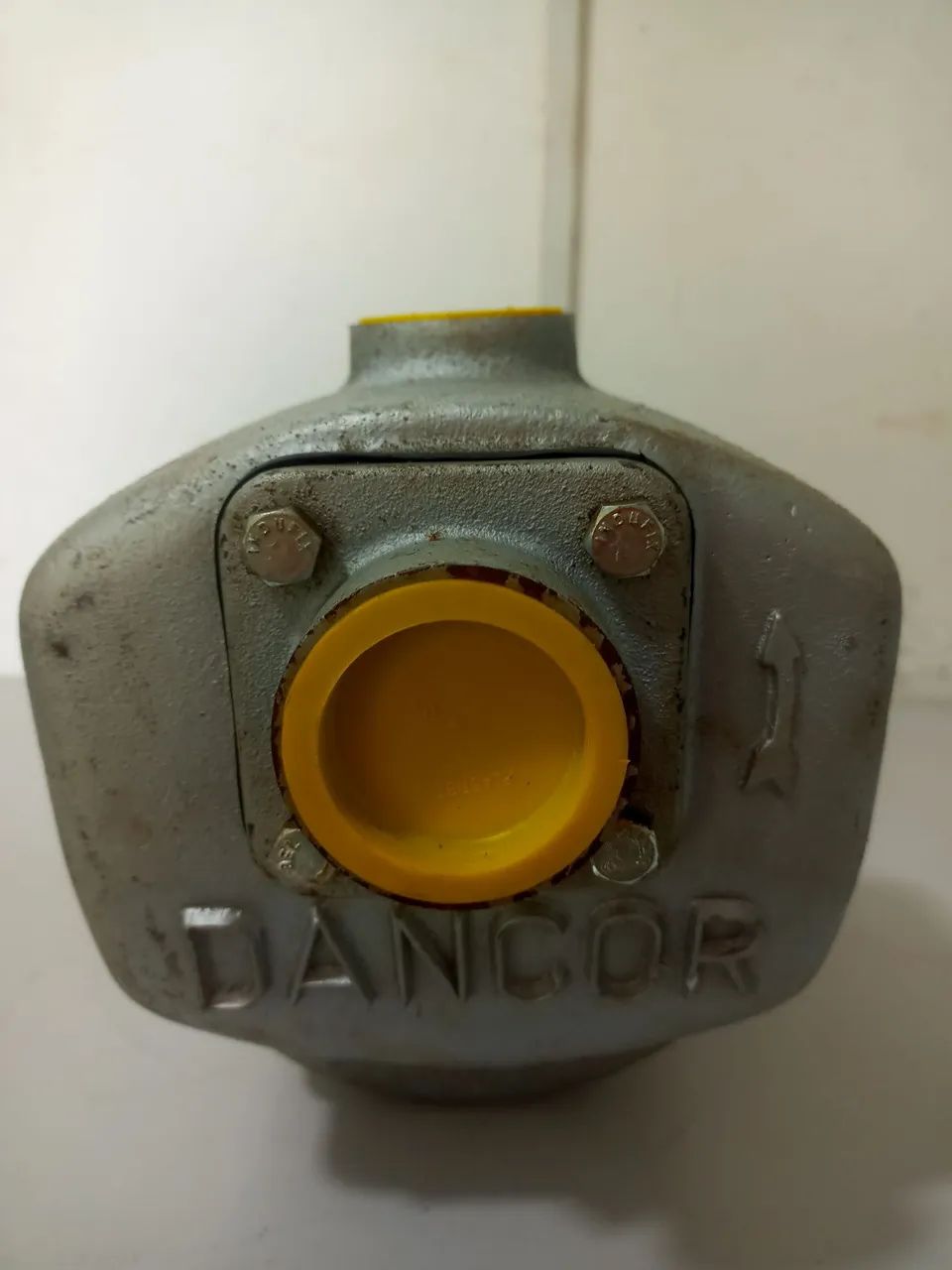 Motor Bomba Dancor 1,0 CV. 220/380v Trifásica - Foto 2