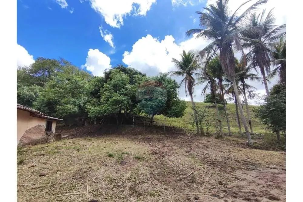 Fazenda à Venda em São Joaquim do Monte - PE! Uma Oportunidade de Investimento Rural Privi - Foto 3