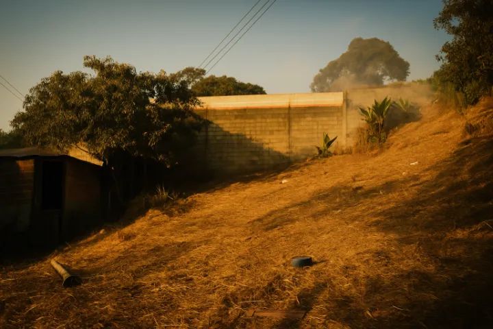 Foto - Francisco Morato - Jardim Vassouras I