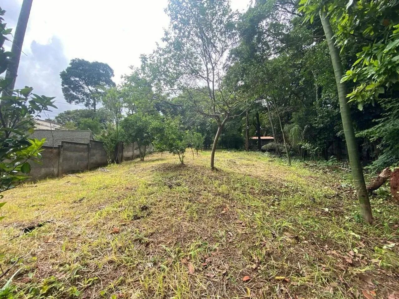 Lote em Avenida Otacílio Negrão de Lima - Garças - Belo Horizonte/MG - Foto 2
