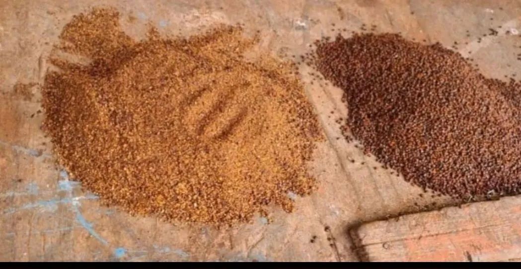 Venda urucum para animais