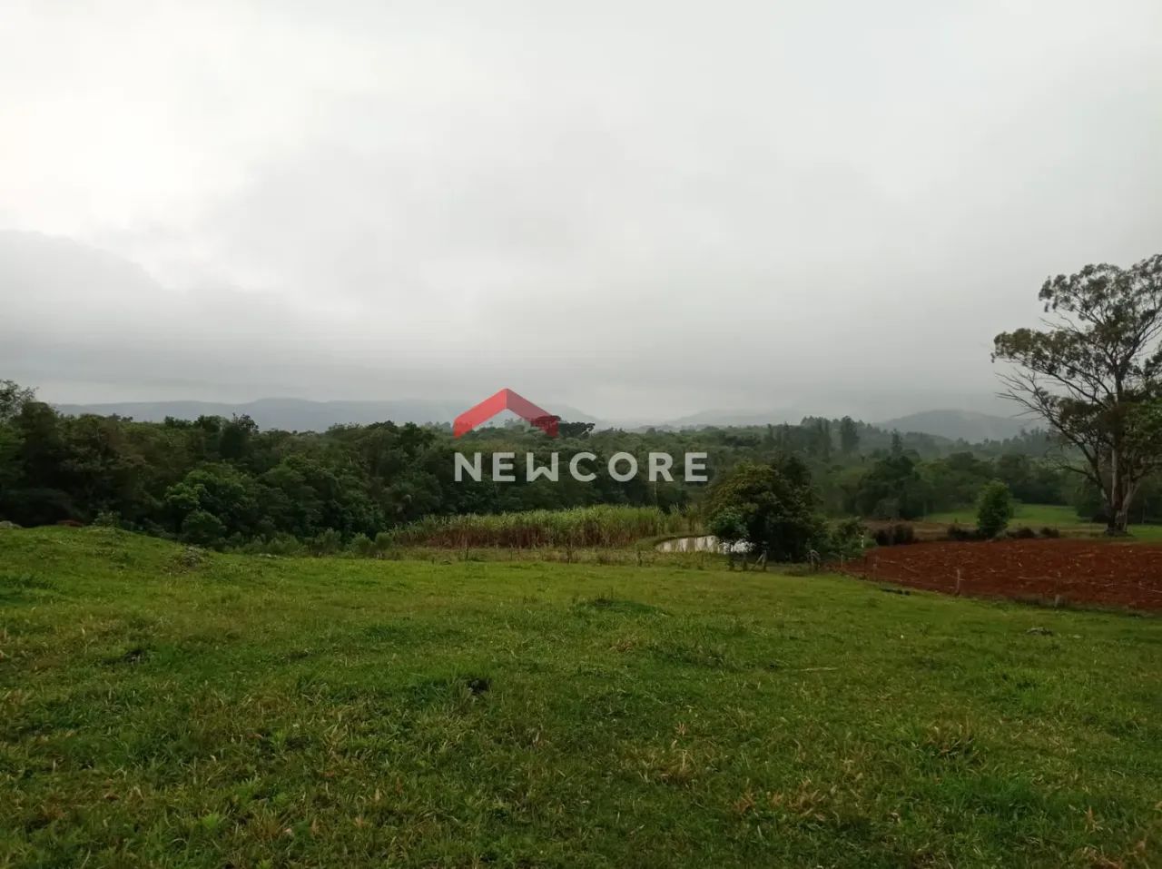 Sítio em Área Rural - Área Rural de Taquara - Taquara/RS - Foto 4