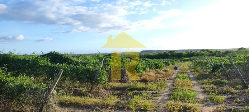 AREA RURAL em CEARÁ-MIRIM - RN, RURAL