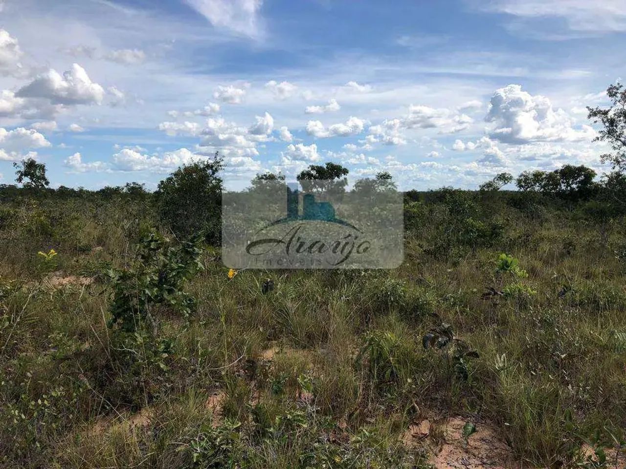 Fazenda com 3 dorms, Setor Central, Lizarda - R$ 15 mi, Cod: 1581 - Foto 5