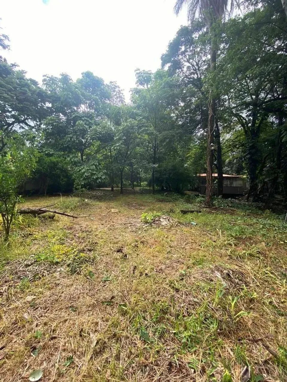 Lote em Avenida Otacílio Negrão de Lima - Garças - Belo Horizonte/MG - Foto 4